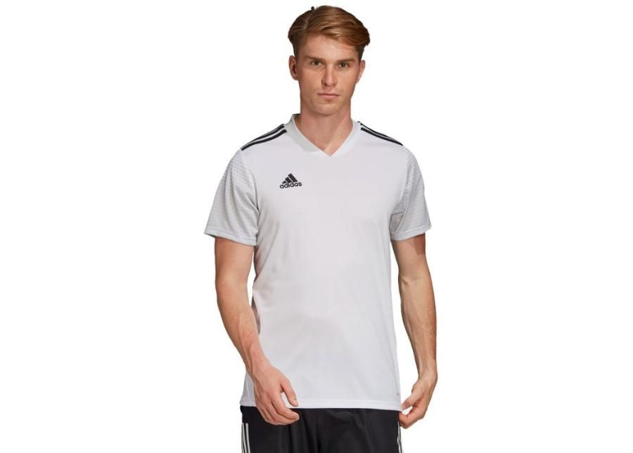 Meeste jalgpallisärk adidas Regista 20 JSY M FI4553 suurendatud