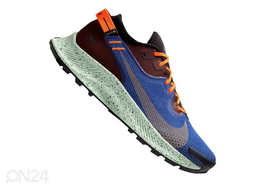 Meeste jooksujalatsid Nike Pegasus Trail 2 GTX M CU2016-600 suurendatud