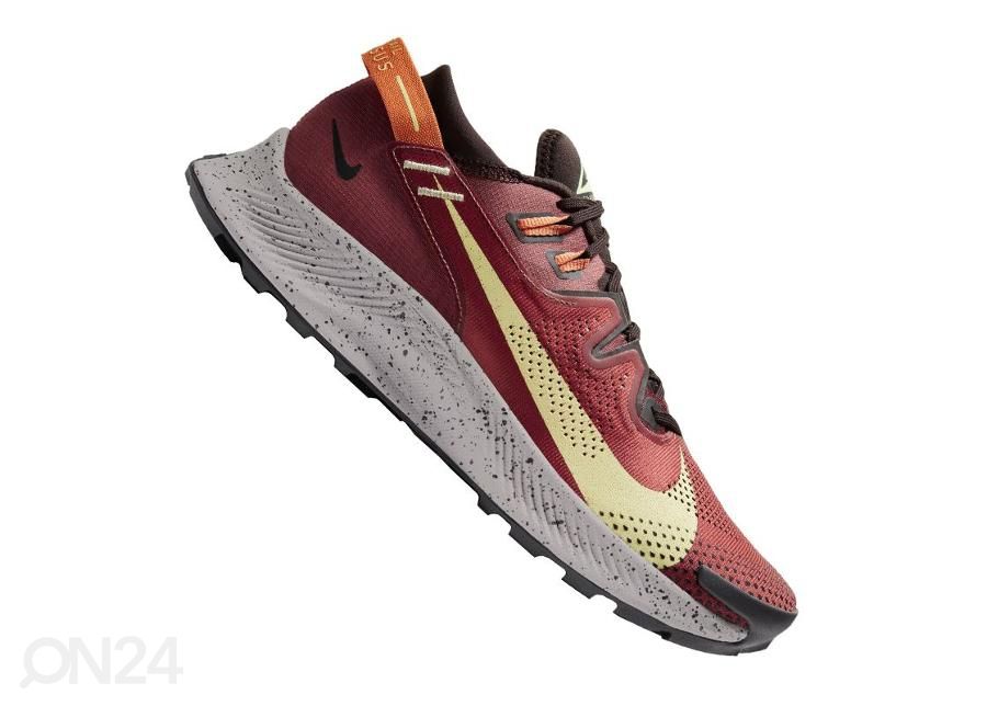 Meeste jooksujalatsid Nike Pegasus Trail 2M CK4305-600 suurendatud