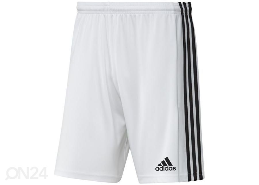 Meeste lühikesed jalgpallipüksid Adidas Squadra 21 Short suurendatud