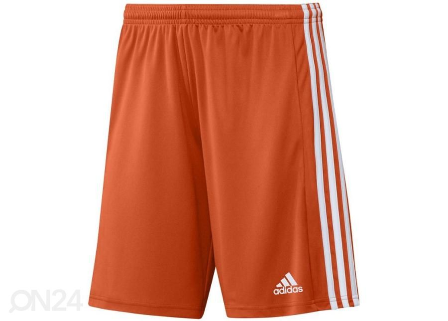 Meeste lühikesed jalgpallipüksid Adidas Squadra 21 Short suurendatud