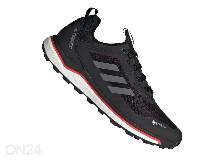 Meeste matkajalatsid Adidas Terrex Agravic Flow Gtx M suurendatud