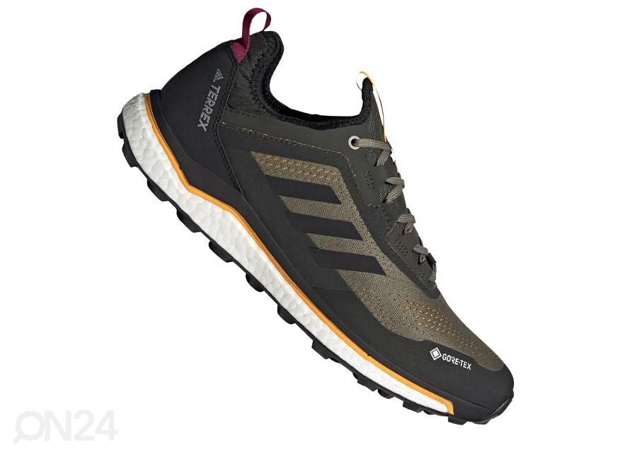 Meeste matkajalatsid Adidas Terrex Agravic Flow GTX M FU7450 suurendatud