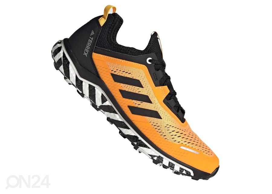 Meeste matkajalatsid Adidas Terrex Agravic Flow M FV2412 suurendatud