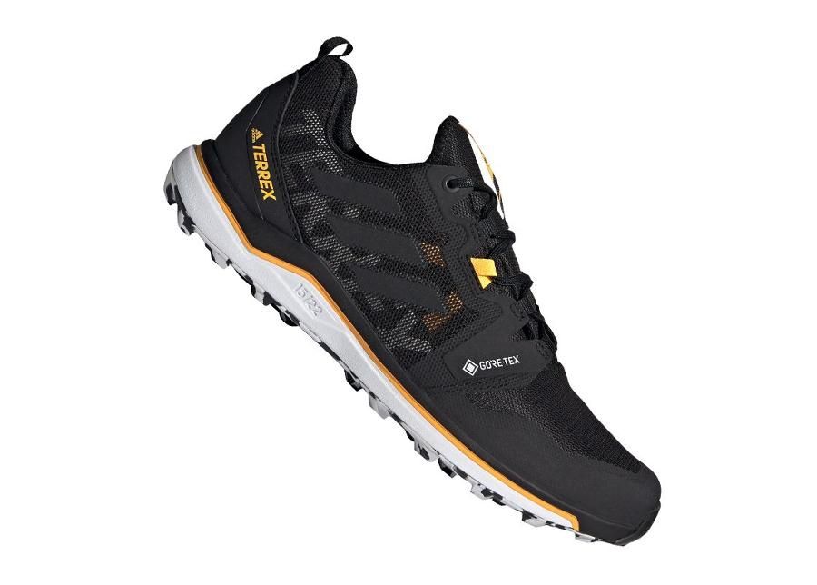 Meeste matkajalatsid Adidas Terrex Agravic Gtx M FW9875 suurendatud
