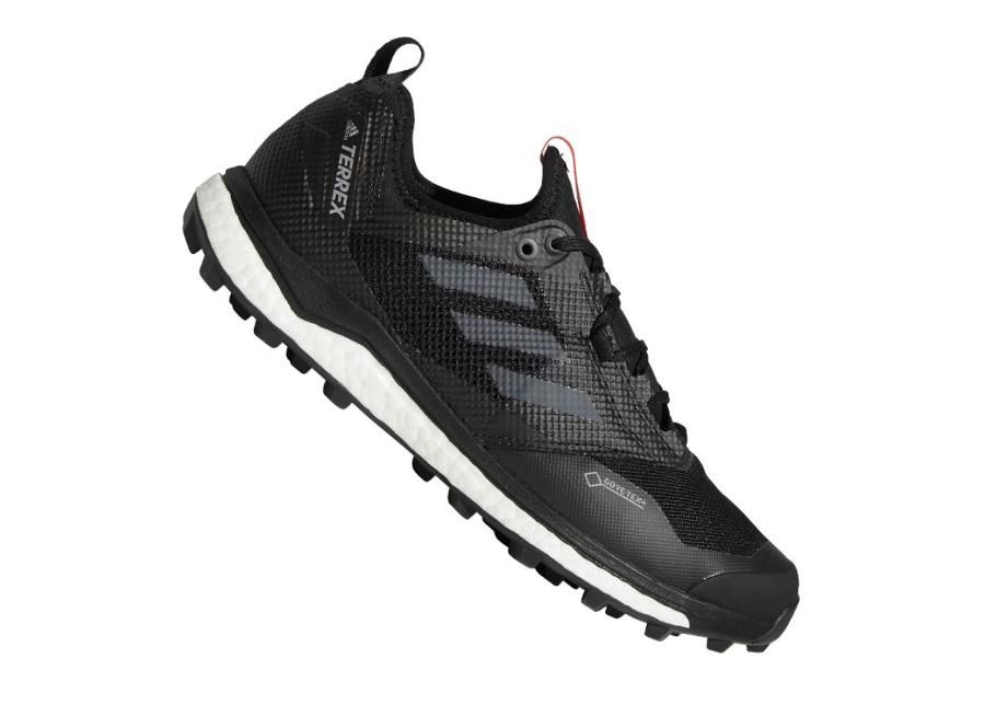 Meeste matkajalatsid adidas Terrex Agravic Xt Gtx M AC7655 suurendatud