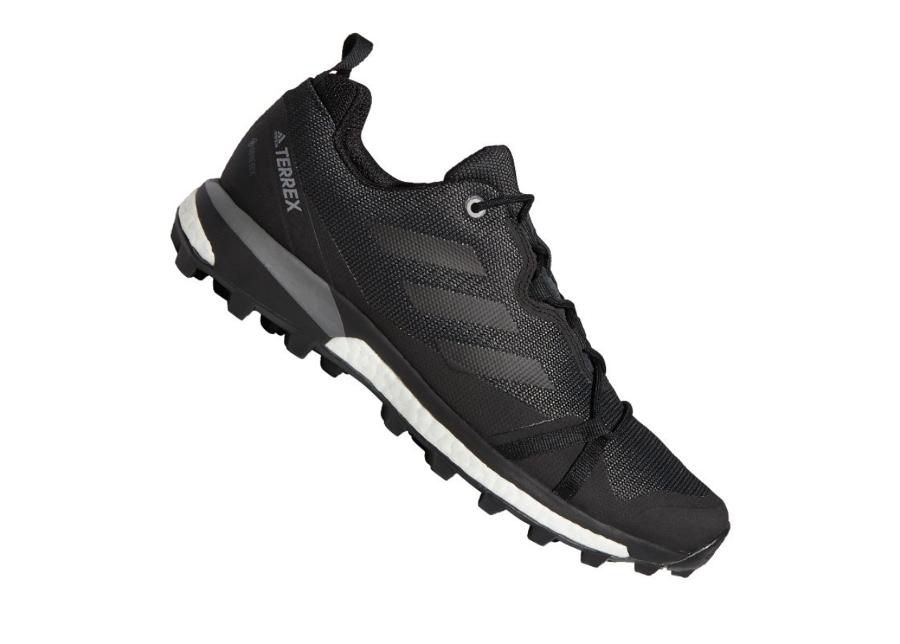 Meeste matkajalatsid Adidas Terrex Skychaser LT GTX M F36099 suurendatud