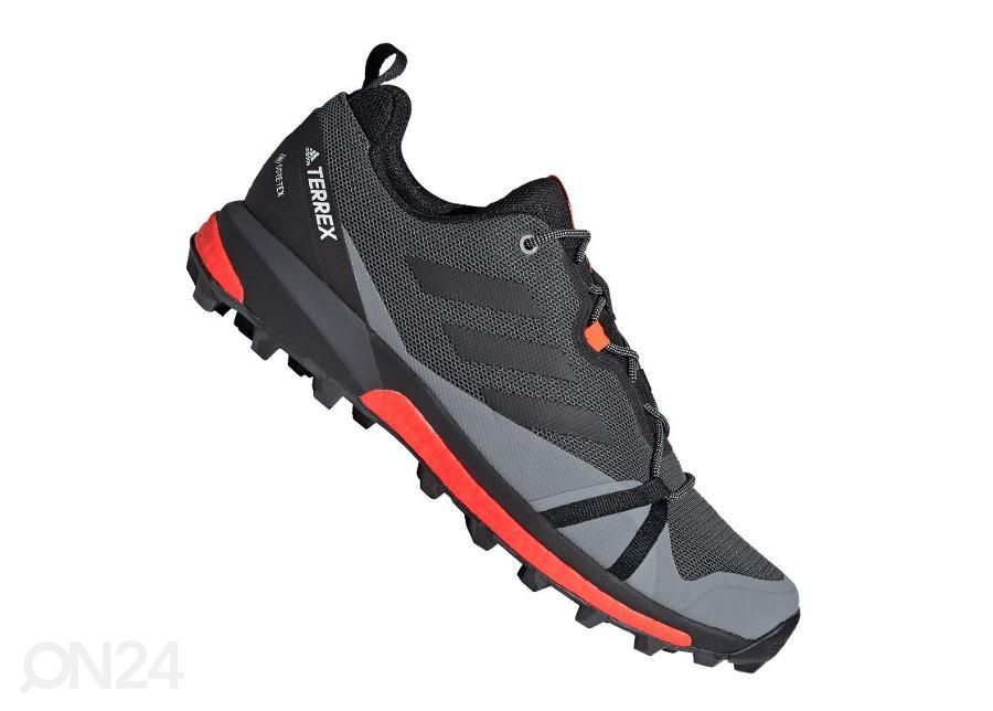 Meeste matkajalatsid Adidas Terrex Skychaser LT GTX M FV6828 suurendatud