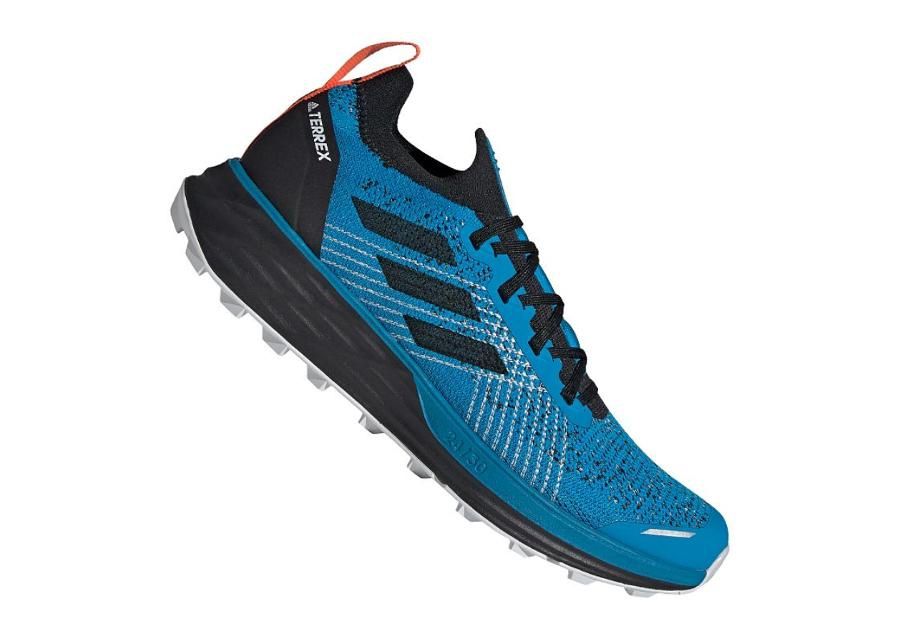 Meeste matkajalatsid adidas Terrex Two Parley M FW2543 suurendatud