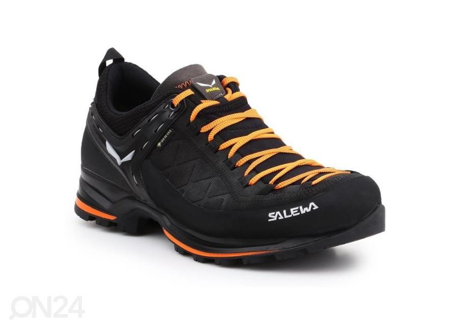 Meeste matkajalatsid Salewa MS MTN Trainer 2 GTX suurendatud