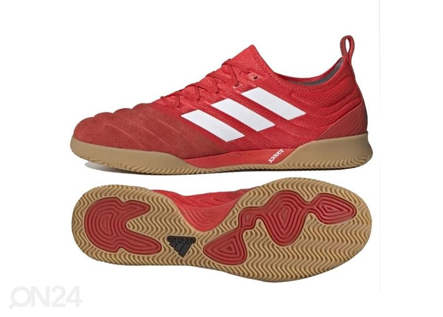Meeste saali jalgpallijalatsid adidas Copa 20.1 IN M G28623 suurendatud