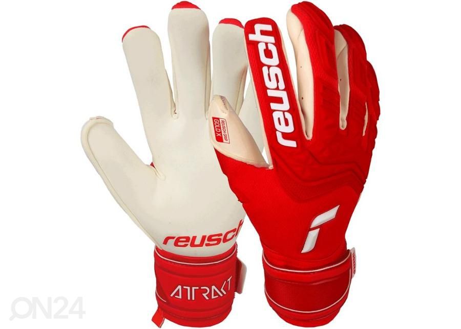 Meeste väravavahi kindad Reusch Attrakt Freegel Gold X suurendatud