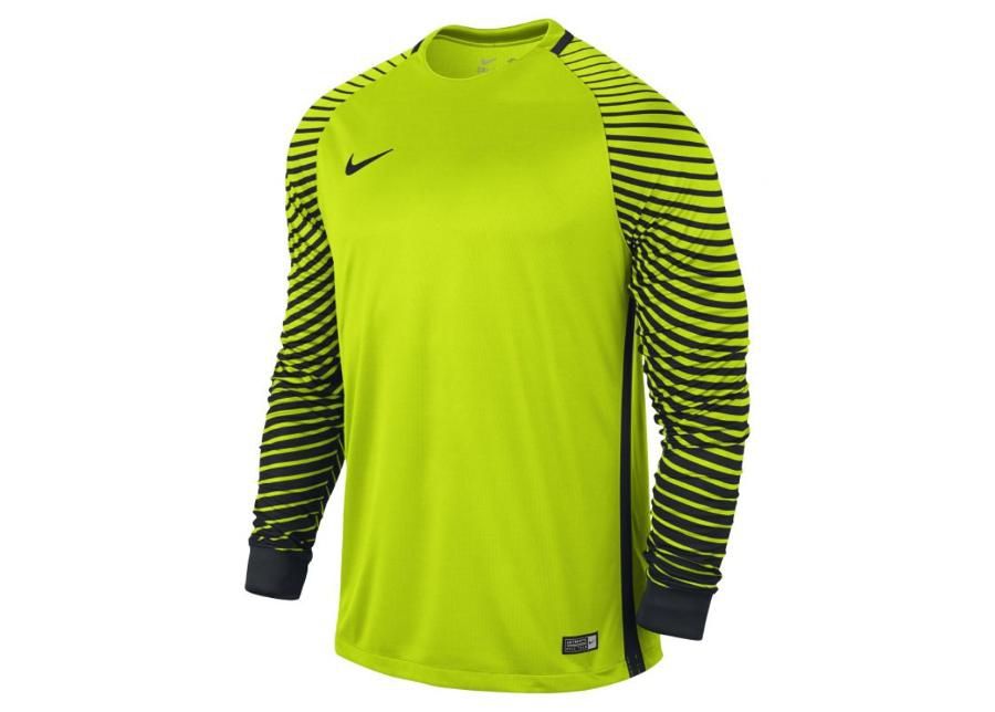 Meeste väravavahisärk Nike GARDIEN LS M 725882-702 suurendatud