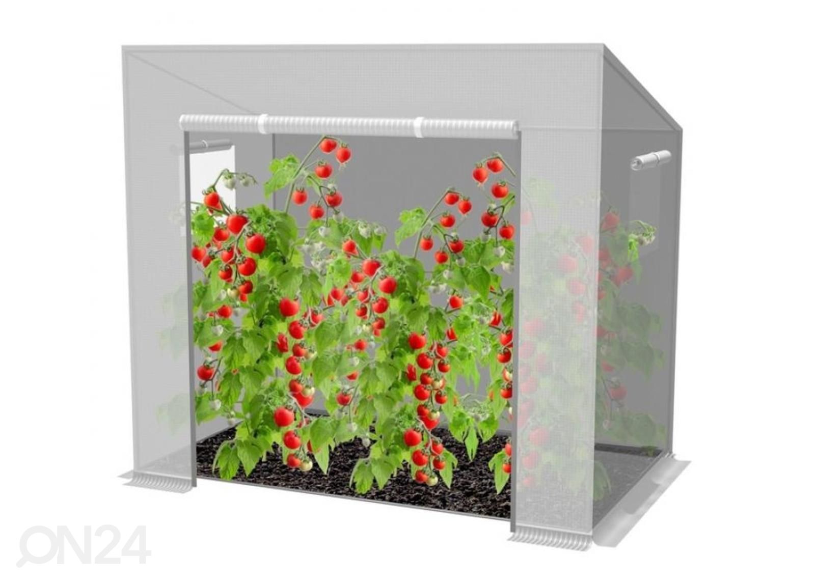 Minikasvuhoone 200x77x168/146 cm suurendatud