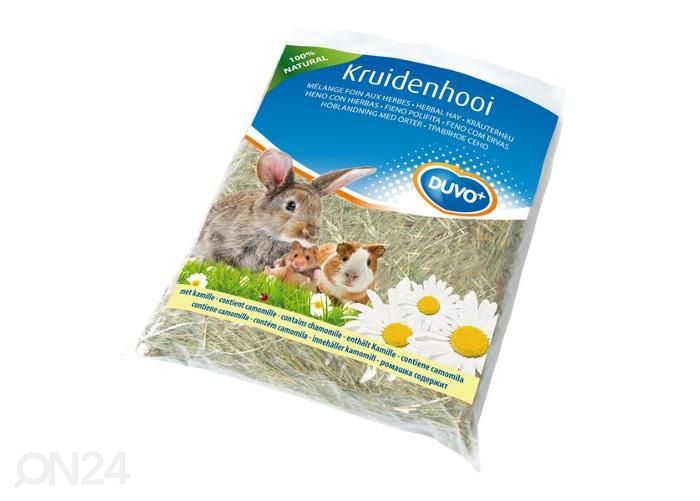 Näriliste hein kummeliga 500 g suurendatud