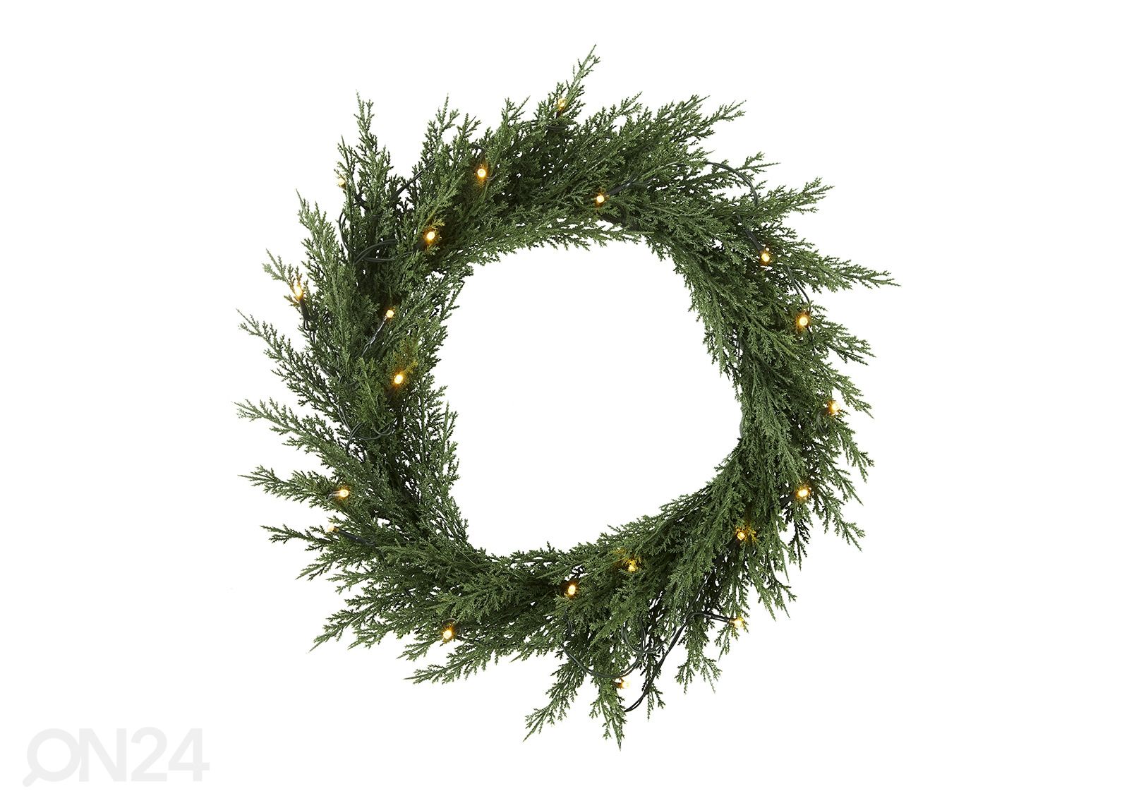 Pärg Thuja suurendatud