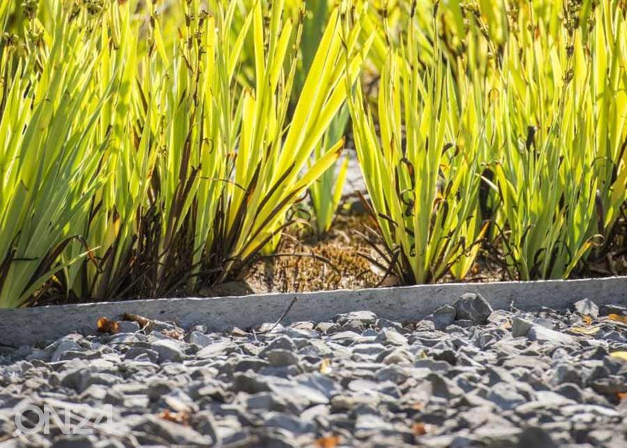 Peenraääris sirge Ecolat 19 cm suurendatud
