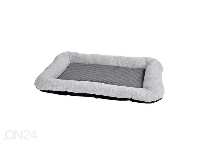 Pesa 50x35x6 cm suurendatud