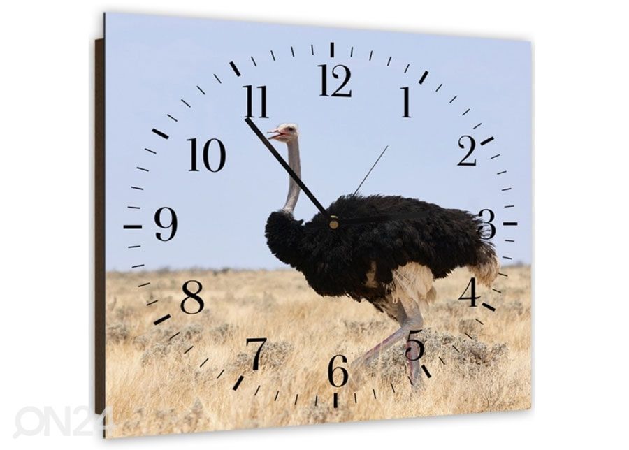 Pildiga seinakell Ostrich 1 suurendatud