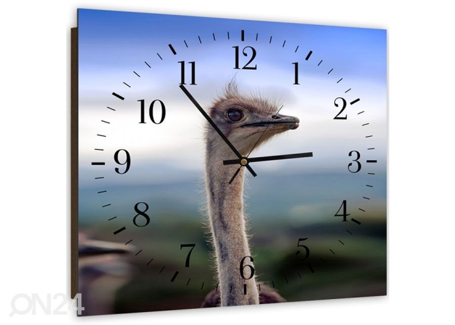 Pildiga seinakell Ostrich suurendatud