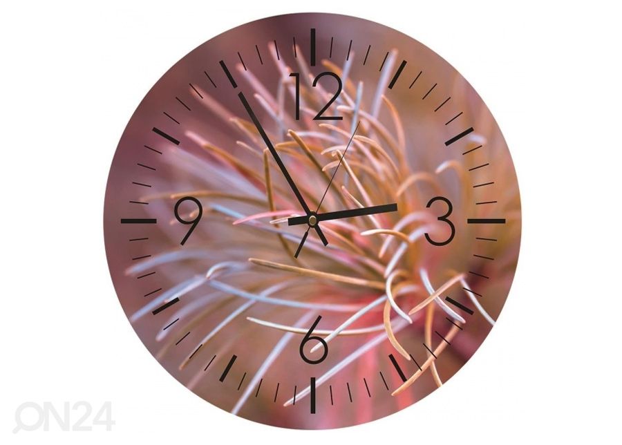 Pildiga seinakell Thorns suurendatud