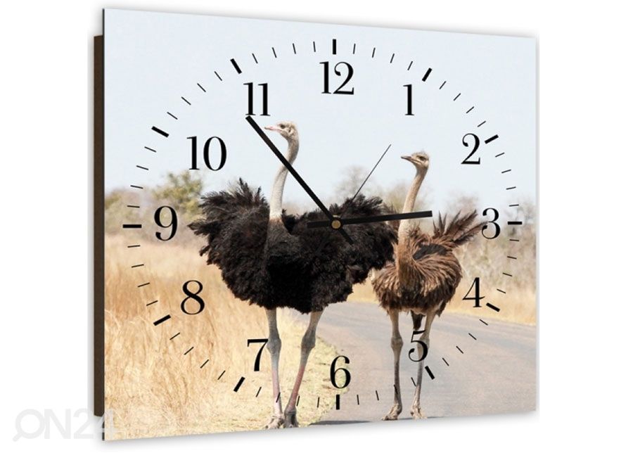 Pildiga seinakell Two ostriches suurendatud
