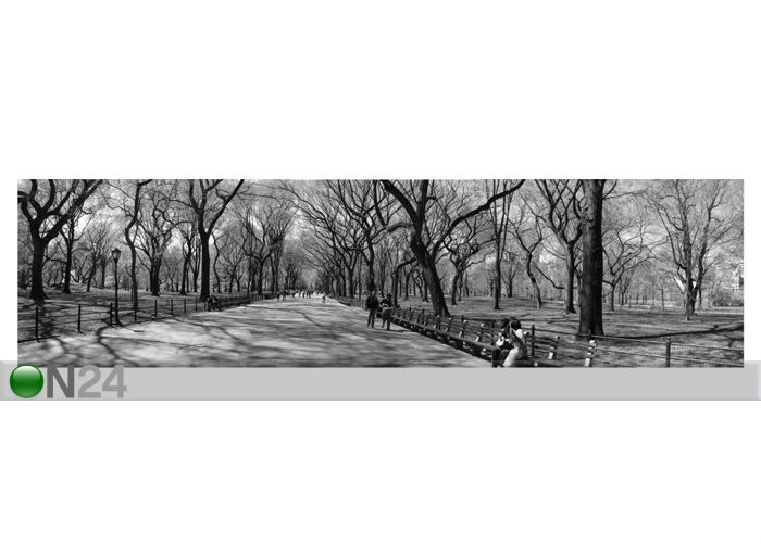Pilt Aeglane New Yorgi minut 30x115cm suurendatud
