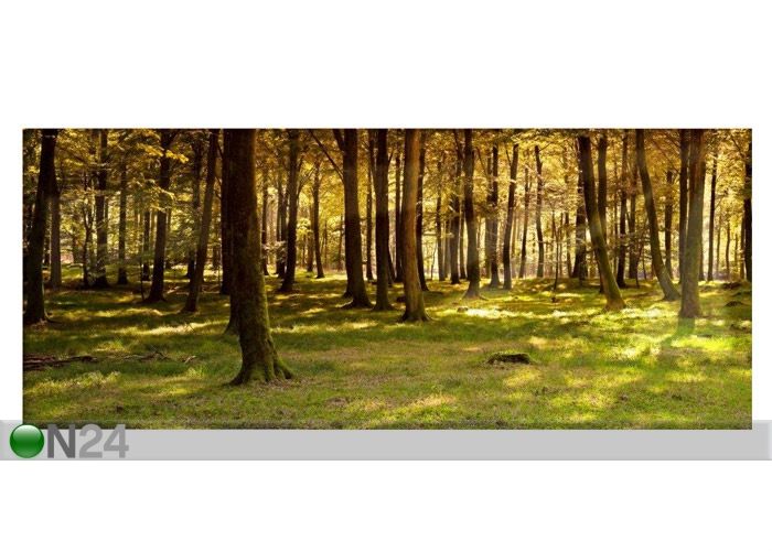 Pilt Autumn Forest Panorama 72x30 cm suurendatud