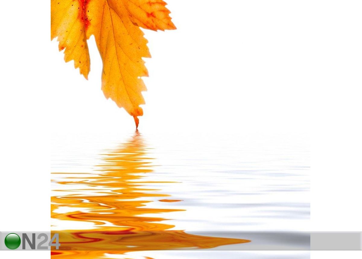 Pilt Autumn Leaf Reflection 40x40 cm suurendatud