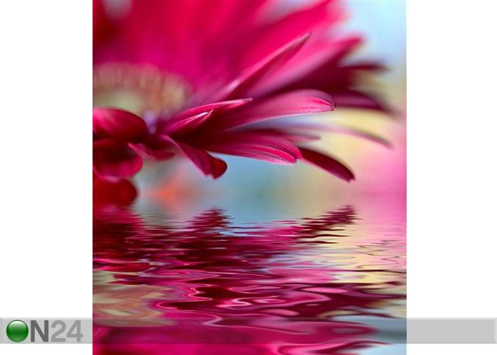 Pilt Closeup of Pink Daisy 60x68 cm suurendatud