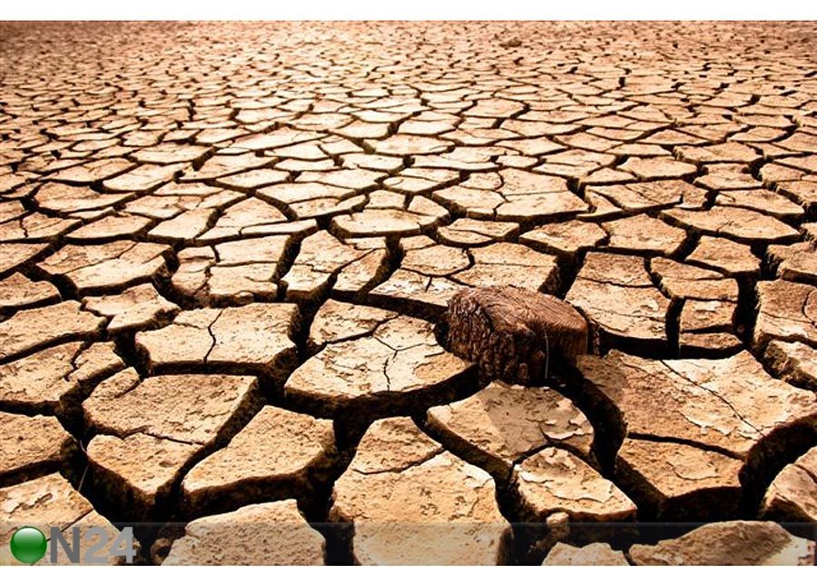 Pilt Cracked Earth 90x60 cm suurendatud