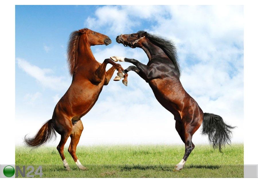 Pilt Fight of Horses 132x100 cm suurendatud