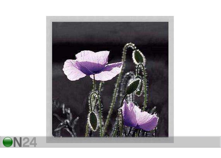 Pilt Flowers - Purple Poppies3 33x33 cm suurendatud
