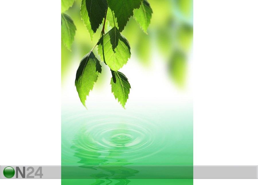 Pilt Fresh Green Leafs Over Water 40x56 cm suurendatud