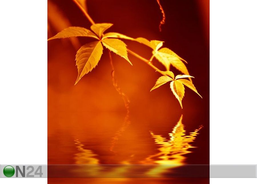 Pilt Golden Leaves Reflected in Rendered Water 70x78 cm suurendatud