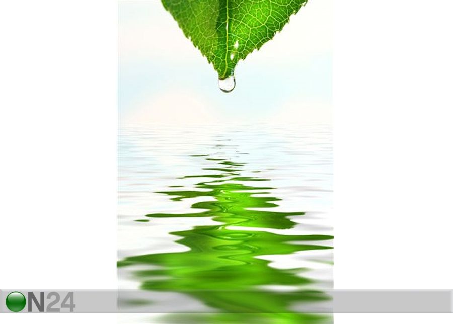 Pilt Green Leaf With Water Droplet 50x75 cm suurendatud