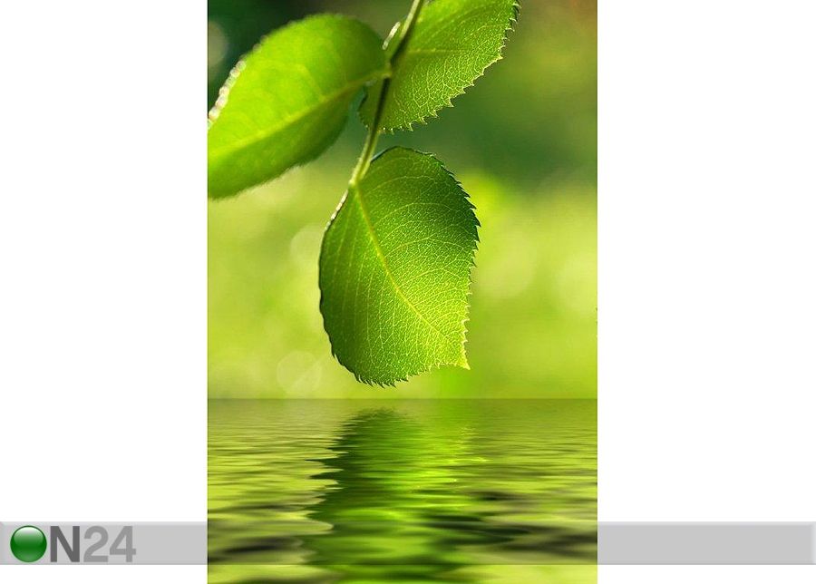 Pilt Green Leaves 70x105 cm suurendatud