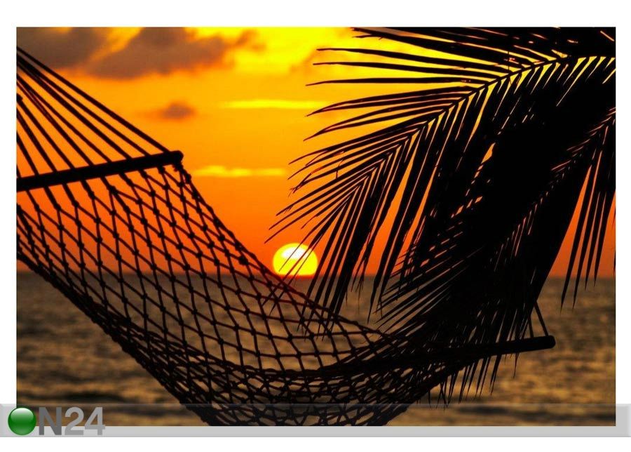 Pilt Hammock and Palm 120x80 cm suurendatud