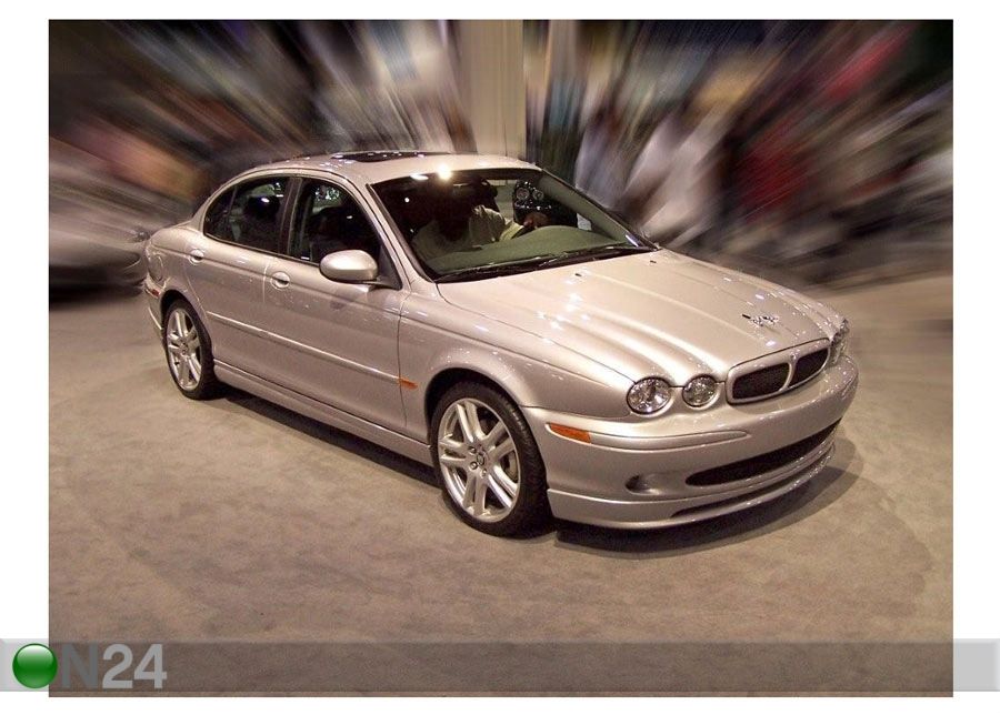 Pilt Jaguar 80x60 cm suurendatud