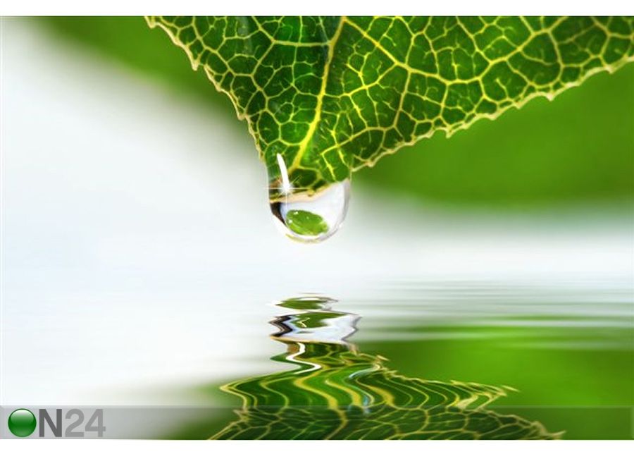 Pilt Leaf With Water Droplet 135x90 cm suurendatud