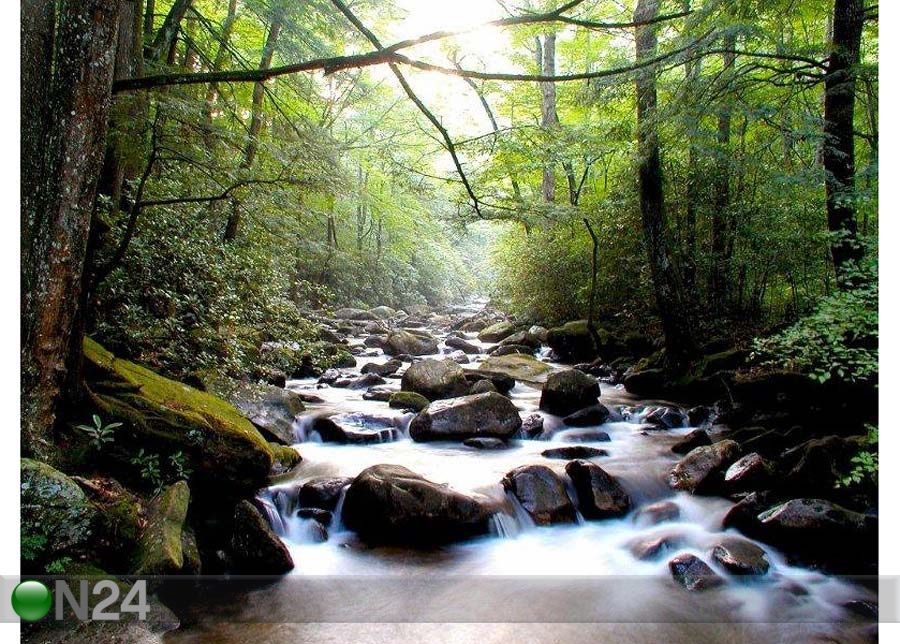 Pilt Mountain River 173x130 cm suurendatud