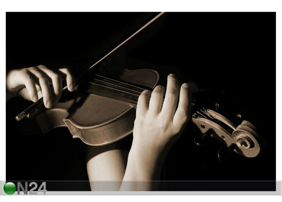 Pilt Musician Playing Violin Isolated on Black 166x110 cm suurendatud