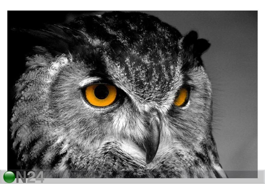 Pilt Owl with Magic Yellow Eyes 105x70 cm suurendatud