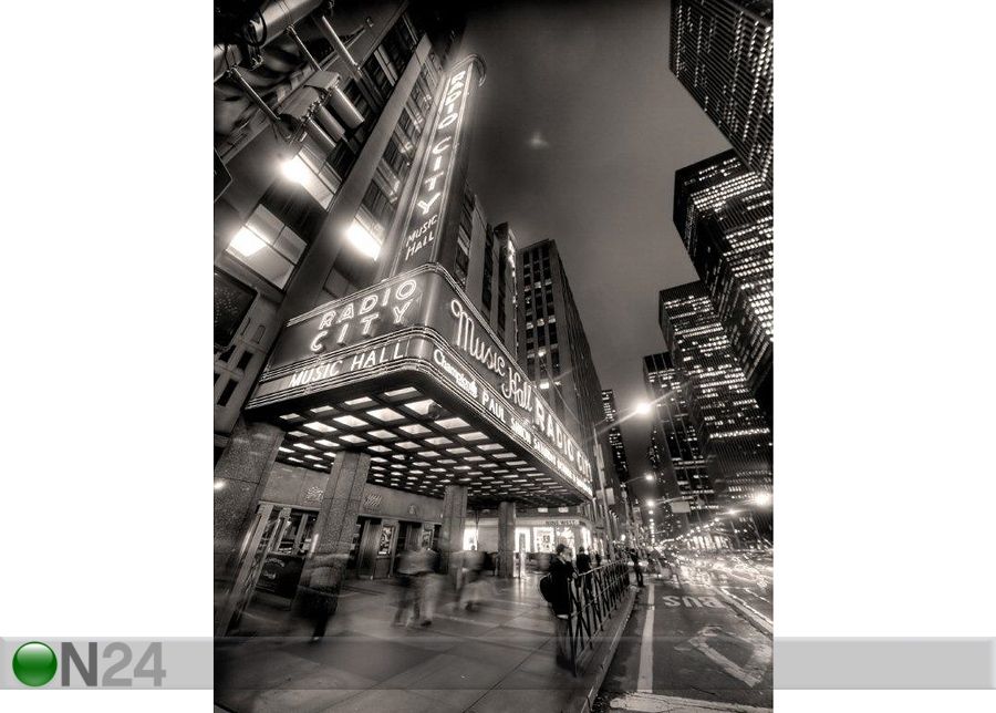 Pilt Radio City Hall 100x127 cm suurendatud