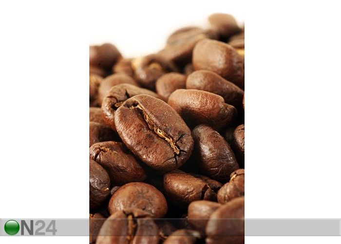 Pilt Shot of Coffeebeans 130x205 cm suurendatud