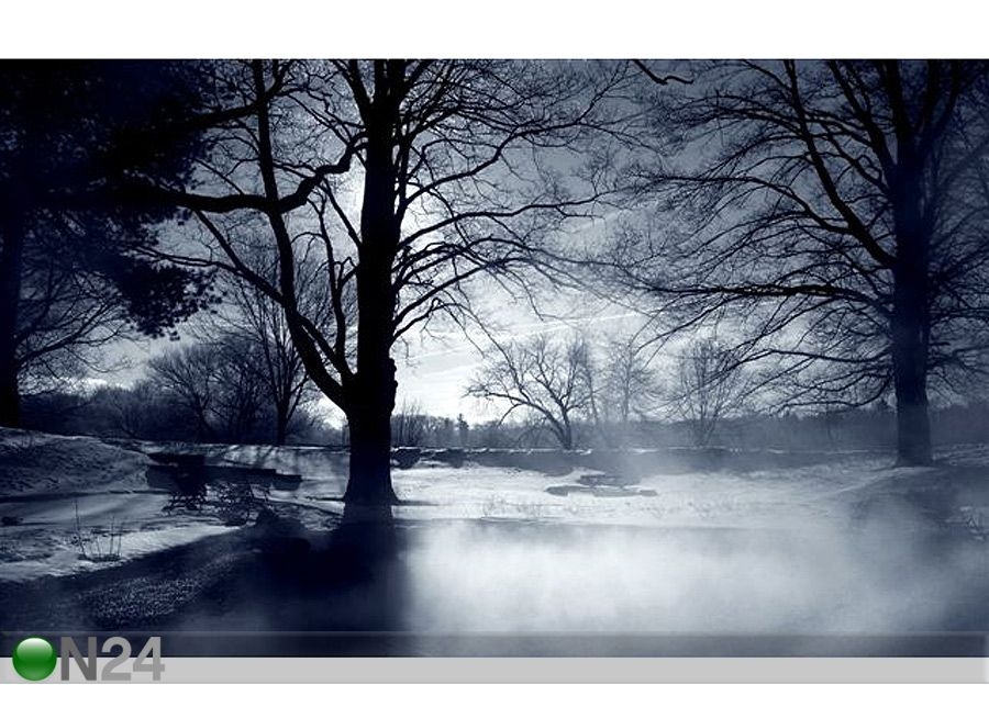 Pilt Silver Mistt 116x70 cm suurendatud