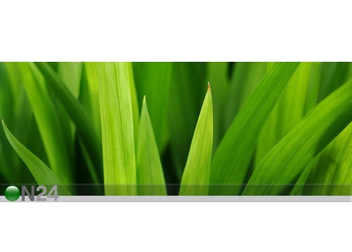 Pilt Smooth Leaves 105x40 cm suurendatud