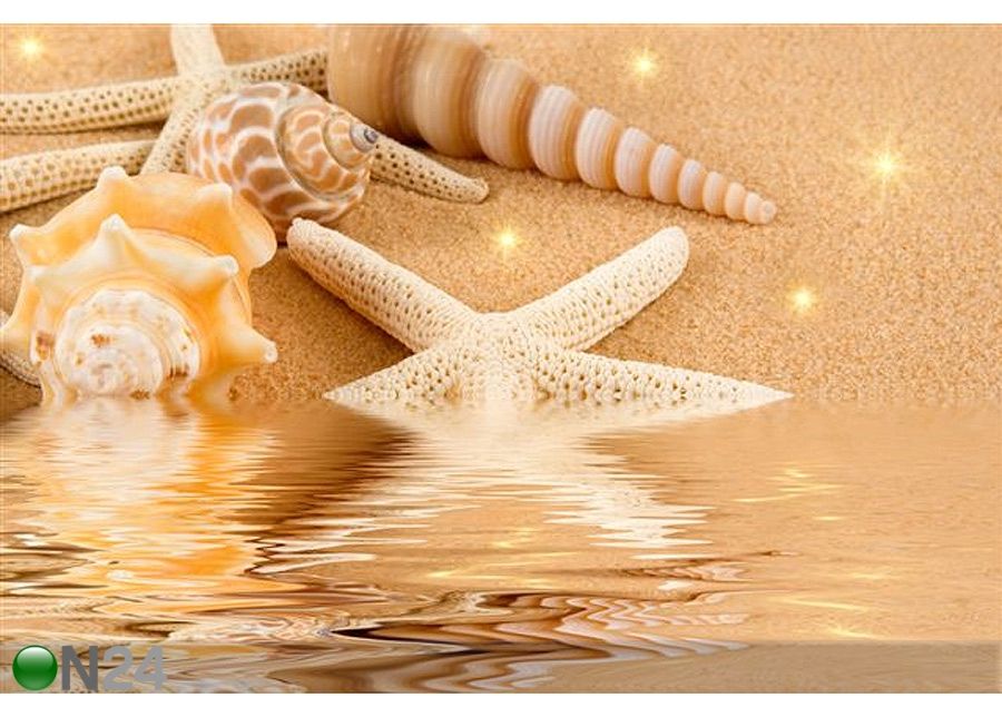 Pilt Starfish and Seashells on Golden Sand 75x50 cm suurendatud