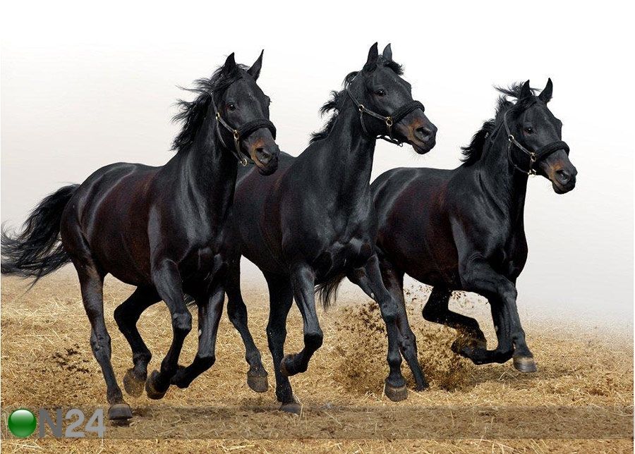 Pilt Three horses 138x100 cm suurendatud