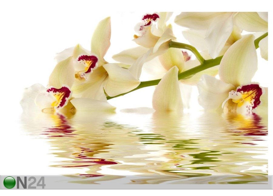 Pilt White Orchid 90x60 cm suurendatud